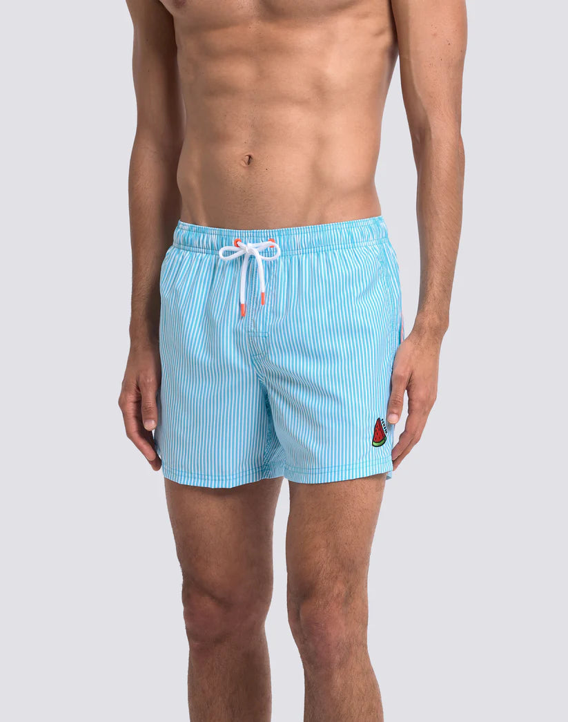 Costume Boxer a righe celeste