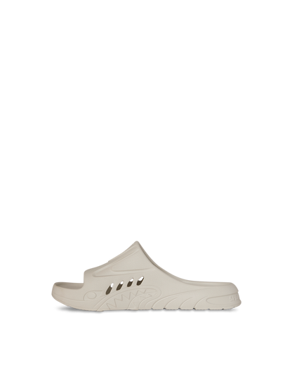 SHARKSLIDE