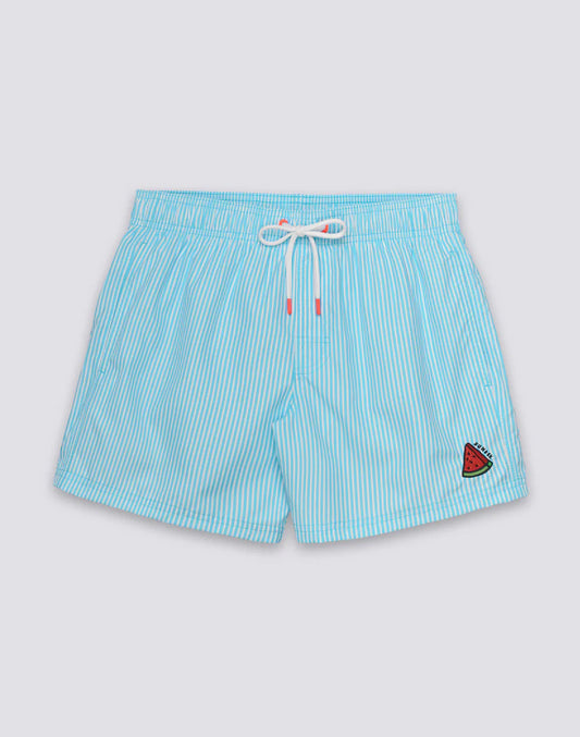 Costume Boxer a righe celeste